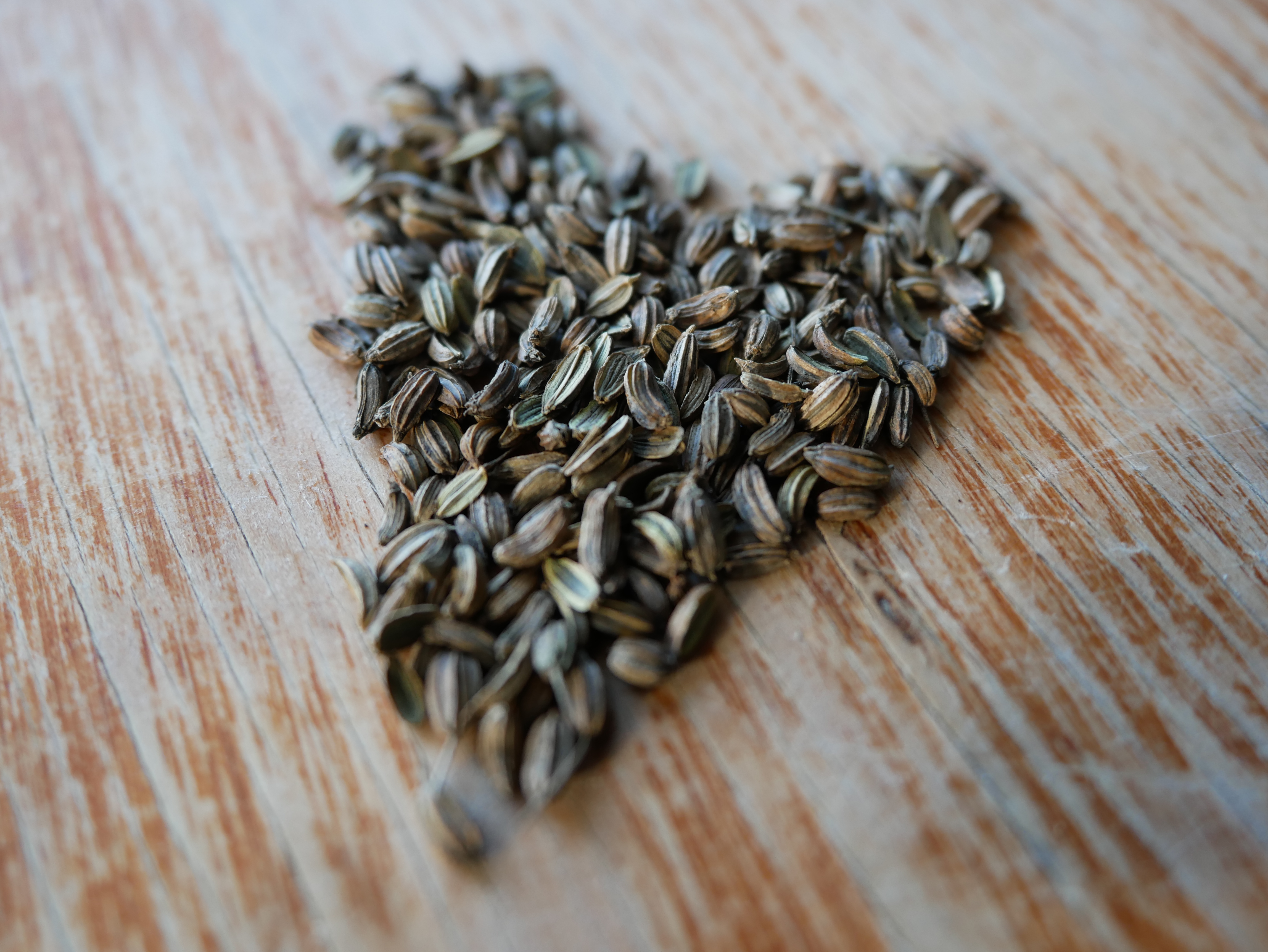 fennel seeds arranged in the shape of a heart